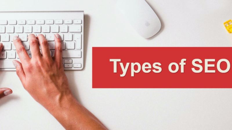 Different Types of SEOS You Need To Know